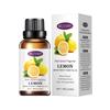 Aromaterapia soluble en agua transfronteriza 30ml dormitorio lavanda planta incienso soluble en agua humidificador aceite esencial mayoreo