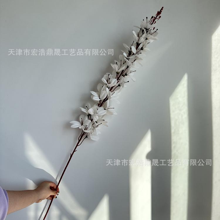 微信图片_202303181613187_副本