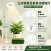 Luz de Crecimiento para Plantas en Forma de Anillo de 6 Pulgadas, Lámpara Telescópica de Espectro Completo para Crecimiento de Plantas de Pie, Lámpara para Plantas en Maceta de Interior y Plántulas de Suculentas