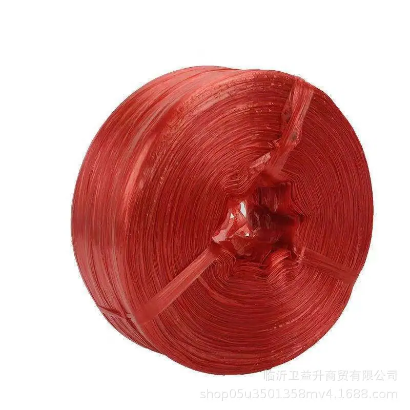 微信图片_20260117135604_5023_906 -