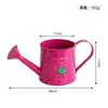 Regador de Ferro Colorido Transfronteiriço Atacado, Regador para Floriculturas, Flores Frescas, Buquês, Arranjos Florais, Vasos para Arranjos Florais