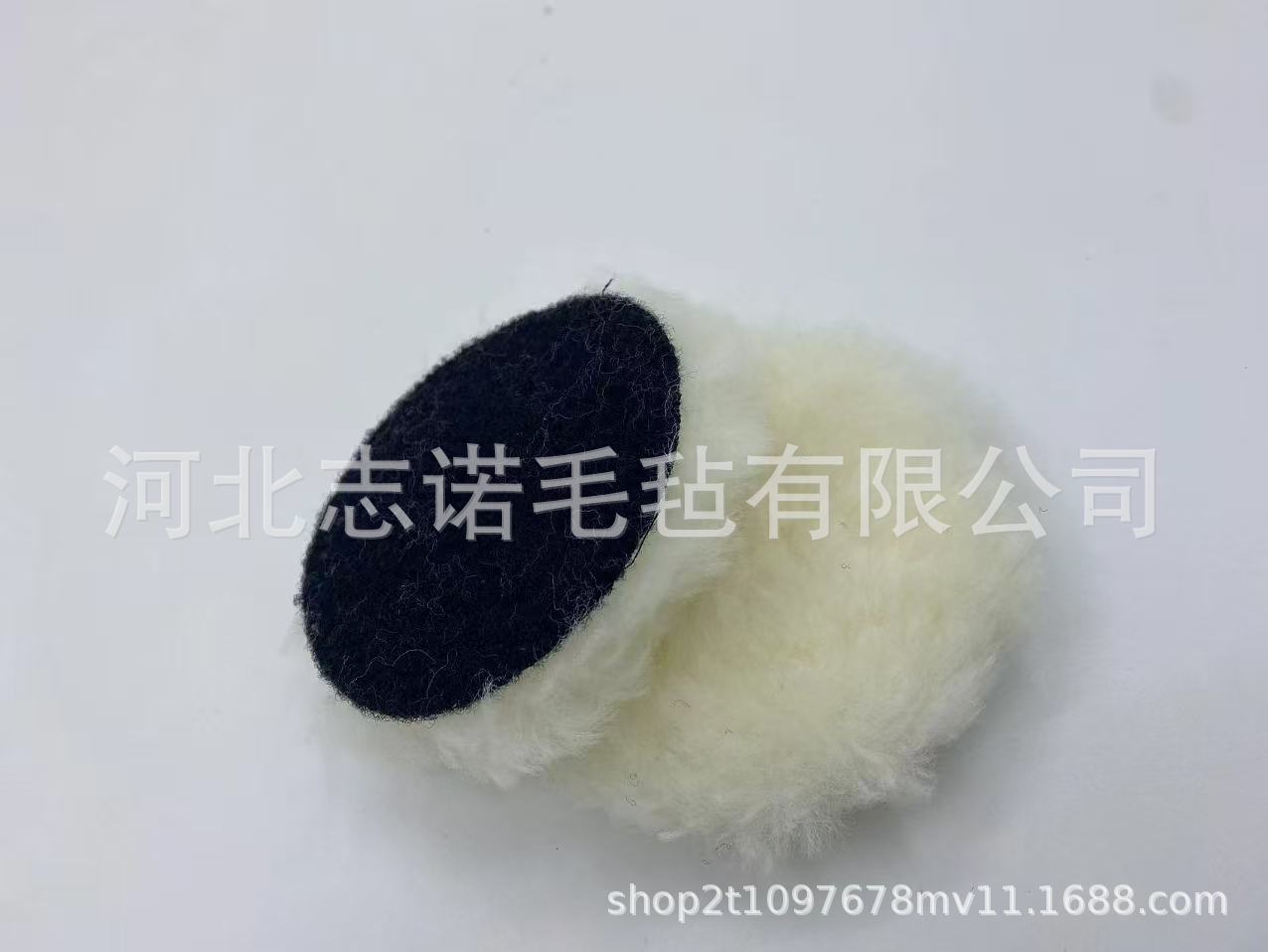 微信图片_20241128105034
