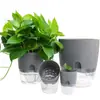 Recipientes Hidropónicos, Macetas para Flores Perezosas Auto-Absorbentes Extra Grandes, Macetas para Flores Auto-Absorbentes de Agua, Macetas Hidropónicas para Potos y Anturios, Macetas Decorativas de Interior