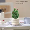 Plantas Atractoras de Fortuna, Árbol del Dinero, Suculentas Difíciles de Matar, Plantas Verdes para Escritorio de Oficina, Macetas