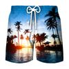 Pantalones de playa deportivos de ocio para hombre, venta al por mayor, impresión digital 3D, para vacaciones de verano en la playa, 2023