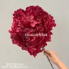 Gran rojo rojo espectáculo viento explosión simulación flor Hortensia lirio del valle del valle del valle del valle del valle peonía rosa golondrina amapola