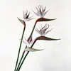 Ave del Paraíso de Caucho Artificial de Alta Calidad, Tallo Único, Planta Artificial Decorativa para Interiores y Exteriores, Decoración Suave y Paisajismo