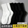 Meias Femininas de Cano Médio para Primavera e Verão, Absorventes de Suor, Respiráveis, Cor Sólida, Versáteis, Sem Costura, Macias e Elásticas, Meias Atacado de Zhuji