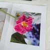 Tulipas Artificiais de Alta Qualidade com Haste Aberta, Adereços de Mão, Flores Artificiais para Sala de Estar, Arranjos Florais de Seda, Decorações de Casamento