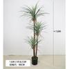 Planta Verde Artificial en Maceta Árbol Sangre de Dragón de Hoja Estrecha, Agave, Árbol de Yuca, Cola de Caballo Aguja de Hierro Girasol, Árbol de Hierro Decoración de Ventana