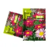 Venta al por mayor de fábrica Semillas de piretro, Flores de hierba, Semillas de flor de crisantemo, Semillas de flores para macetas en casa, Semillas de flores fáciles de cultivar, Semillas de flores