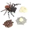 Set de 4 Figuras de Ciclo de Vida de Araña de Terciopelo  Modelos Realistas de PVC Incluye Araña y Saco de Huevos Juguete Educativo para Niños 057cm Inspirado en la Naturaleza