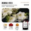 Aceite esencial de aromaterapia especial para hotel Zen Tea para todas las estaciones, líquido de reposición, máquina de aromaterapia para el hogar, fragancia de té, fragancia de baño duradera para interiores.
