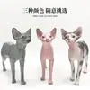 Modelo de Gato de Estimação Acessórios Destacáveis Roupas para Gatos e Cachorros Cabide de Exibição para Fotografia Modelo Ornamento de Gato Sphynx