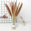Ins Ramo de flores secas DIY flor de polvo fresca pequeña Nórdico Amazon pequeño Junco Yunnan flor seca al por mayor