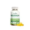 Cápsulas Docteat Moringa Soporte Intestinal Impulso Diario de Vitalidad, Mejoran el Equilibrio Intestinal y Complementan la Fibra Dietética
