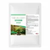 Fertilizante Especial para Helecho Espárrago para Prevenir Hojas Amarillas, Promover Crecimiento de Raíces, Fortalecer Plántulas, Solución Nutritiva, Fertilizante Tipo General para Plantas Verdes en Maceta y Flores