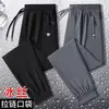 Pantalones casuales para hombre, de seda de hielo, finos, de secado rápido, deportivos, holgados, de talla grande, de primavera y otoño, de pierna recta.