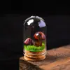 Adorno de Hongo de Piedra Cruda de Cristal Natural Micro-Paisaje Espécimen Mineral Regalo de Vacaciones Decoración Creativa para Escritorio del Hogar