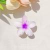 Verano Gradiente Junto al Mar Súper Hada Flor de Huevo Pinza de Agarre Celebridad de Internet Nuevo Estilo Flor Disco para el Cabello Pinza de Tiburón Horquilla Tocado