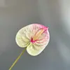 Flor Artificial Anthurium Película Impresión 3D Flamenco Palma Decoración de Boda Arreglo Floral Escena de Flores Artificiales Diseño de Decoración