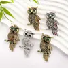 Broche de Coruja Moderno e Único, Acessório de Roupa de Luxo Brilhante, Alfinete de Presente, Broche de Animal com Strass em Liga