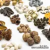 Pinha de jardim de infância flor seca materiais diy sementes de frutas secas plantas de decoração bolotas espécimes taibao frutas trigo feito à mão