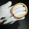 Grado de Colección Hueso de Dragón Bodhi Tallado Pulsera de Hilo Único de Cuentas de Oración Budista para Hombre Estilo Exquisito Sencillo Pulsera Wenwan Jugable Venta al por Mayor