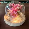 Luzes Noturnas Brilhantes de Rosa e Tulipa Mais Vendidas, Presentes Perfeitos para Amigos e Deusas, Disponíveis para Envio Internacional, Podem Ser Embaladas e Rotuladas para Entrega
