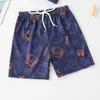 Bañador para Niños Calzoncillos de Bebé Pantalones de Playa de Dibujos Animados Calzoncillos Boxer para Niños Gorro de Natación Traje de Baño para Niños Venta al por Mayor Transfronteriza