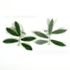 Explosiones calientes de comercio exterior 66 piezas de traje de planta verde artificial hojas de hierba acuática material de corona de ramo de rosas hecho a mano