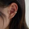 Clip para la oreja sin agujeros en la oreja para mujer, nuevo ingreso, lujo ligero, gama alta, clip para la oreja, nicho de lujo ligero, estilo frío, elegante, elegante, arete