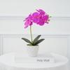 Flor artificial Phalaenopsis Bonsai Flor artificial Flor de seda Planta en maceta Decoración del hogar Decoración de boda