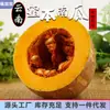 Plato de Calabaza Vieja de Yunnan Melón Miel Calabaza Larga Dulce Granja Fresco Recién Cogido Origen Suministro Directo Calabaza Pequeña No para Bebés