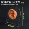 Modelo de ouvido silicone características faciais realistas material didático modelo display aparelho auditivo artificial orelha de prática limpeza de ouvido ensino adulto