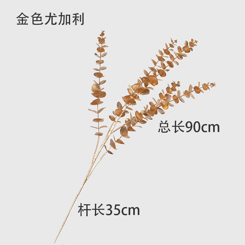 尤加利