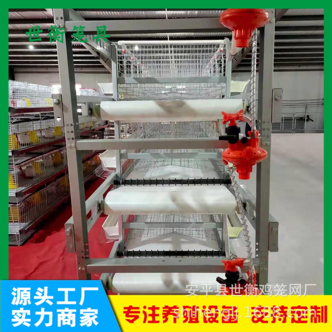 蛋鸡笼小层叠5