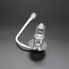 Lámpara Halógena EAGLEYE de alta calidad H3 12V(24 V) Lámpara de Niebla 55W 100W Lámpara de Águila