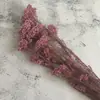 Flor Preservada Pipoca Buquê Completo 50g Materiais DIY Componentes Buquê Arranjo Floral Completo Decoração Caixa de Flores Materiais Artesanais