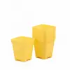 Kit educativo DIY criativo para cultivo de plantas para varandas de casa, vasos de flores pequenos quadrados de plástico coloridos macaron