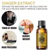 Aceite Esencial de Jengibre Eelhoe Cuidado Suave para Brazos, Abdomen y Vientre, Hidrata la Piel, Aceite Esencial para Masaje y Cuidado Corporal