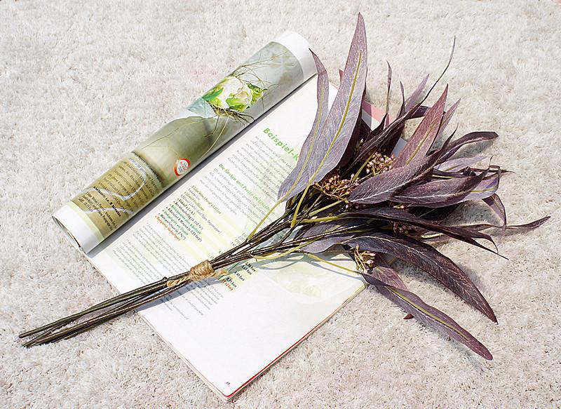 带果弯叶尤加利