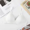 Ropa interior para niñas, Sujetador inalámbrico para mujer de busto pequeño, Realza el escote, Sin costuras, Directo del fabricante, Estilo fino, Sujetador para estudiante de secundaria