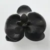 Materiais de Embalagem para Buquês Jemi, Suprimentos para Floristas, Embalagem Floral, Spray Corante à Base de Água, Tinta Spray, Spray para Flores