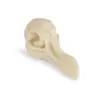 Acuario Tanque de Peces Mascotas Adornos Paisaje de Hierba Acuática Dinosaurio Cocodrilo Calavera de Oveja Calavera de Resina Rinoceronte Dodo