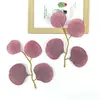 Hoja de Eucalipto Nueva Hoja de Corazón Hogar Escandinavo Arreglo Floral Decoración Planta Verde Artificial Ins Boda Planta Verde Bosque