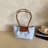 Bolsas de Dragón Simples Transfronterizas Bolsa de Tela Correa Larga al Hombro Puntadas de Aniversario Bolso Tote de Nicho Bolso de Hombro Portátil Versátil