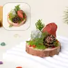 Adorno de musgo eterno para micro-paisaje de cristal con base de madera natural, decoración de cristal natural, piedra bruta de cristal, adorno de racimo de cristal