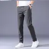 Pantalones Nuevos Estilo Hong Kong para Hombre Verano Delgados Casuales Estilo Coreano Modernos Holgados Rectos Pantalones Largos Modernos