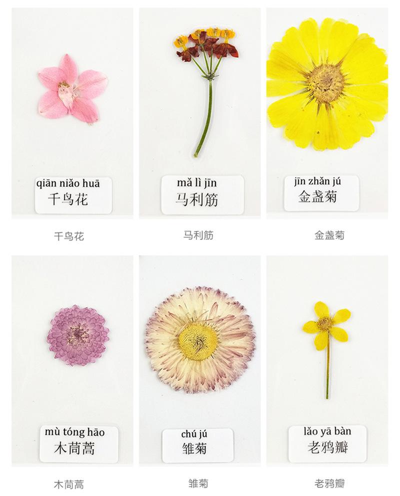 详情干花_11_副本.jpg